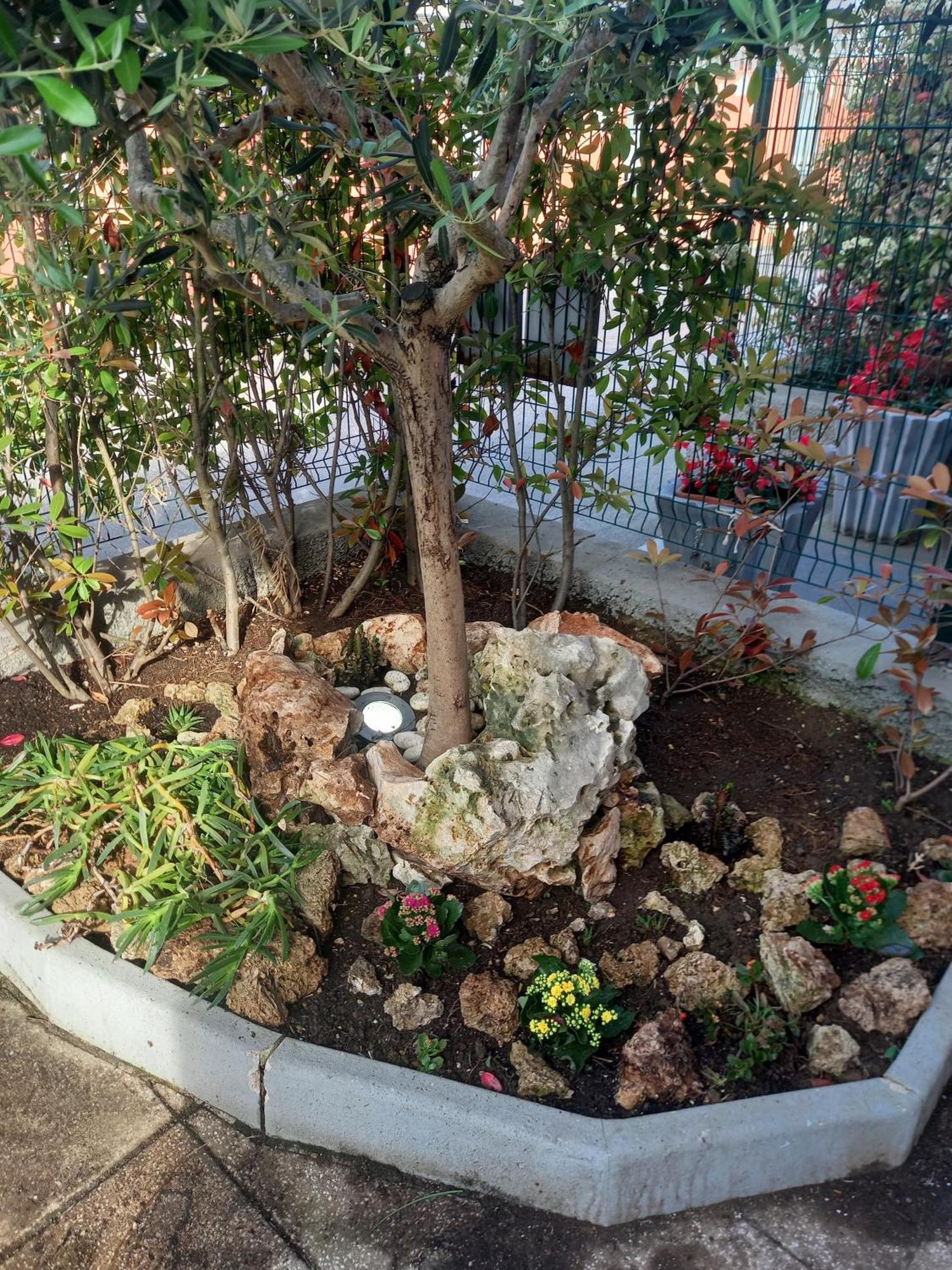 La Casa Di Piccoli Di Gabriele Martelli E Catia Pacetti - Appartamento อังโกนา ภายนอก รูปภาพ